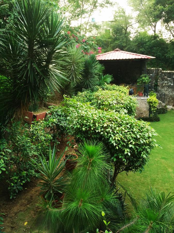 Siswan Jungle Lodge Baddi Extérieur photo